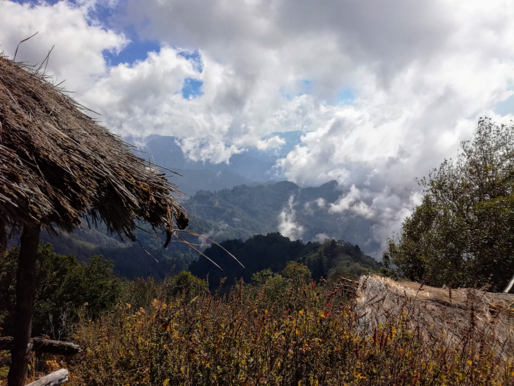 Sur les pans du Tacana, on passe de la selva aux alpages en altitude (Photo FC)