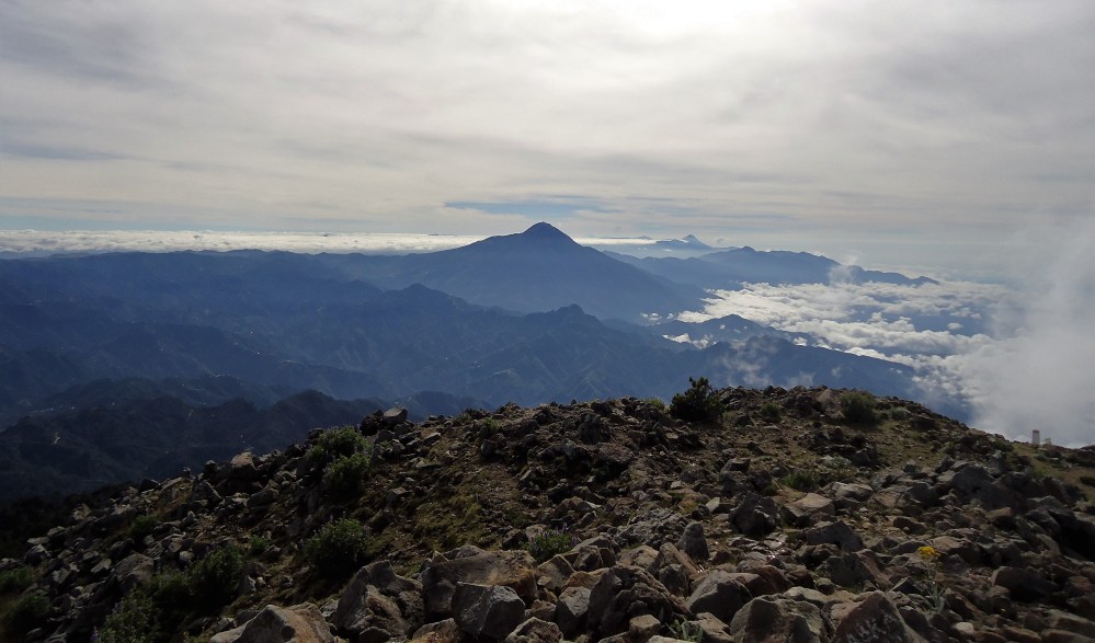 Du haut du Tacana, à plus de 4000 m, toute la chaine des volcans actifs du Guatemala (DR)