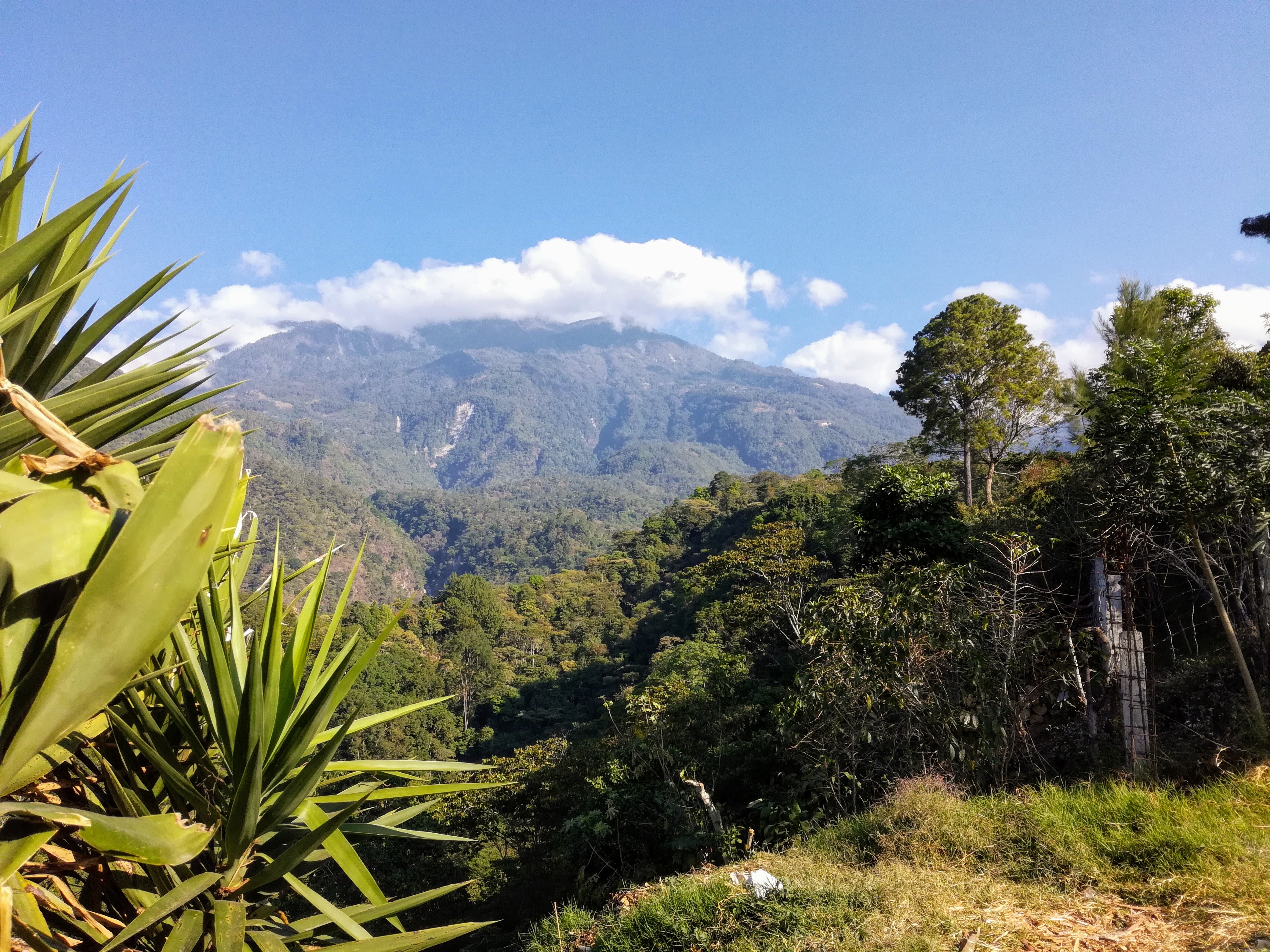 Tacana, above the volcano, on the roof of Central America – amazed