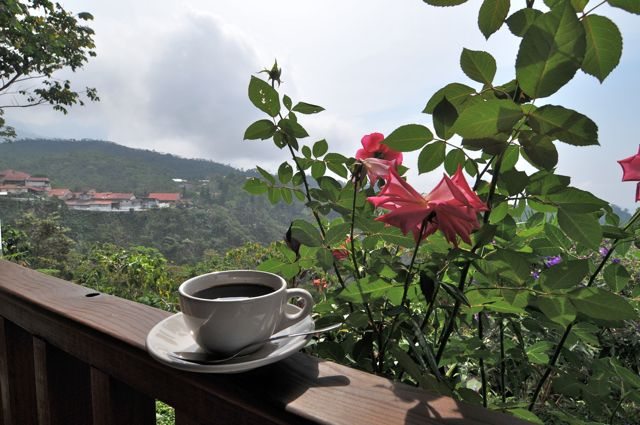 Tacana fincas blog_MEX_3140