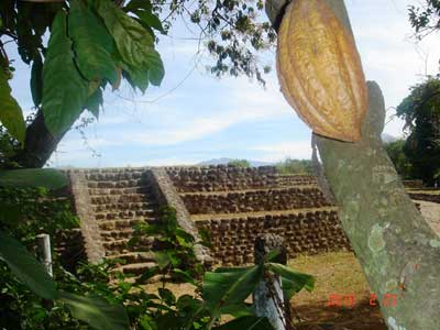 Le site mixe-zoque d'Izapa sur la route de Tapachula au volcan de Tacana est une ode au cacao.