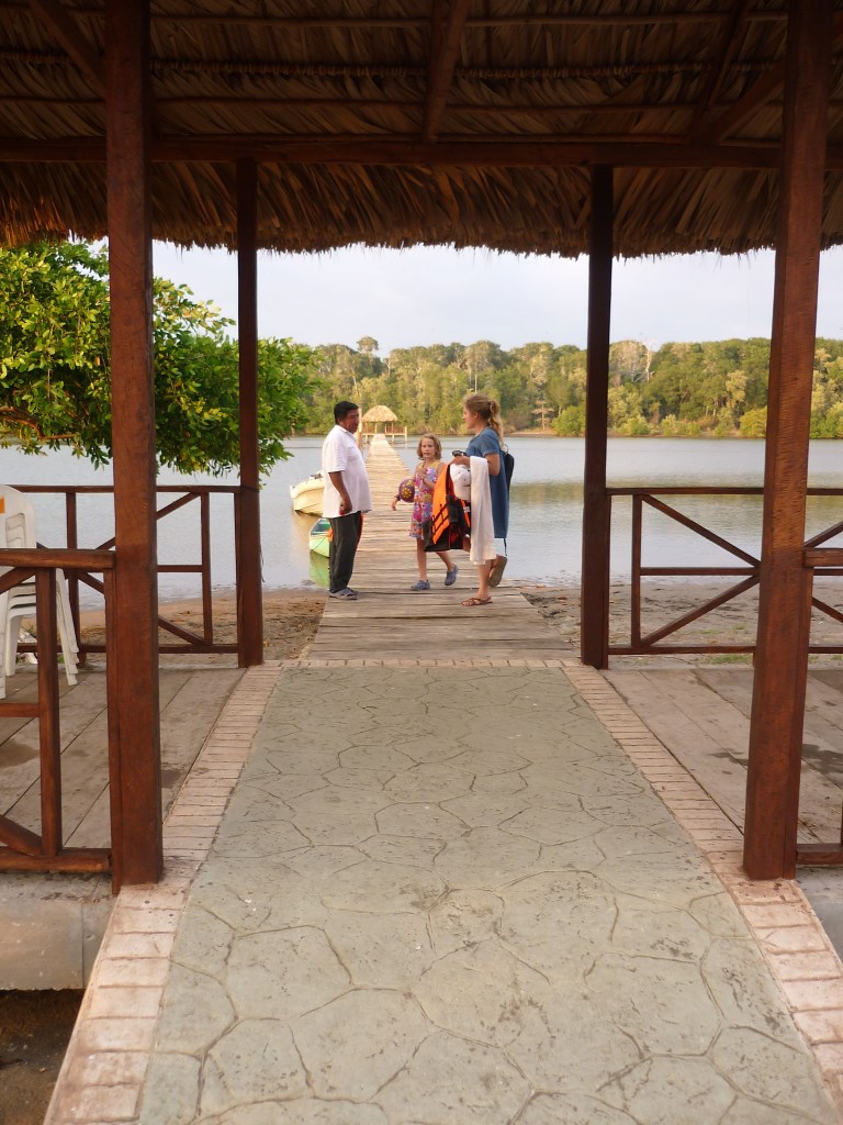 In the high mangroves of La Encrucijada (pacific coast) in Soconusco, the Ballenato at the frontier of sea and mangrove is without a doubt one of the most paradisical spots in Chiapas. To go you take the boat from Las Garzas, 18kms from Acapetahua. The crossing takes about 20 minutes (Photo FC)