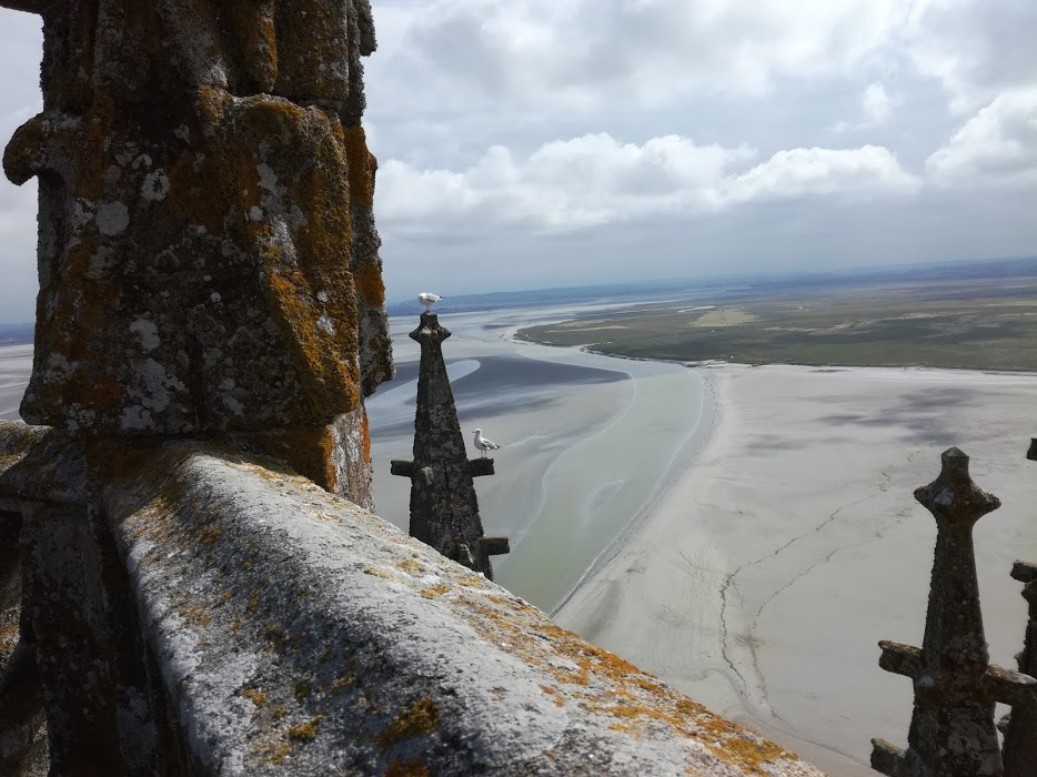 Sur le toit du choeur de l'abbatiale du Mont-Saint-Michel, côté Bec d'Andaine, une vue exceptionnelle ! (Photo FC)