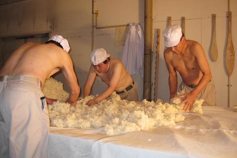 salle du kôji (kôji muro) où une température constante de 30° C environ est maintenue en permanence. Le maître brasseur de saké (tôji) a d’abord répandu de la poudre de kôji-kin sur le riz cuit à la vapeur. Le riz a ensuite été soit enveloppé dans du tissu, soit étalé comme ici, soit réparti dans des boîtes en bois. Les opérations à la main seront répétées en conservant la température et l’humidité nécessaires pour obtenir le ferment de riz au bout de 48 à 72 heures. Le but est de transformer l’amidon du riz en sucre afin de permettre la fermentation.