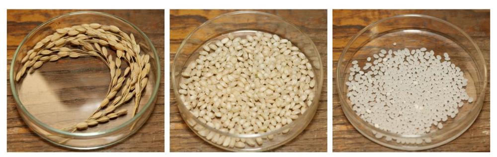 De la gerbe au riz après polissage. Le polissage du riz s'affiche toujours en %. Il indique ce qu'il reste du grain de riz après le polissage (seimai-buai). Plus le chiffre est bas, meilleur sera le saké.