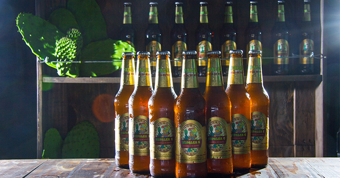 Les seules bières (4,8°) au monde brassées avec du nopal. Elles conviennent particulièrement au diabétiques.