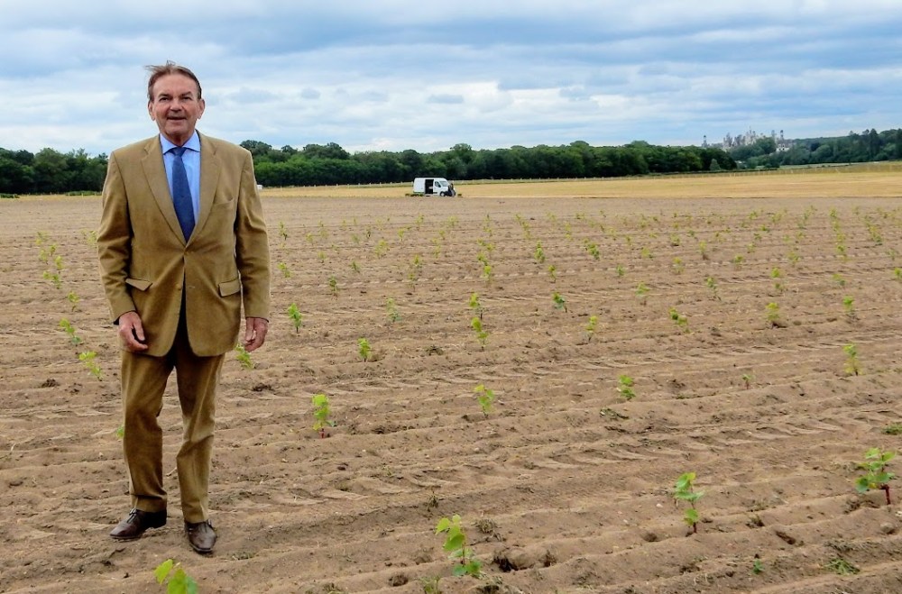 For the winemaking, Chambord has chosen Henry Marionnet as its partner, a specialist in old grape varieties and natural wine, established in wine-growing Sologne for several generations (Photo FC)