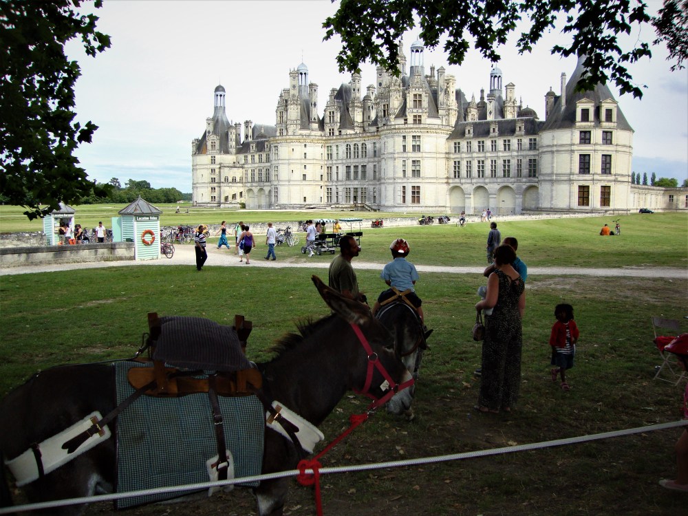Quiets days in Chambord. This really is a great Chateau for all of the family with so many other activities aside from just the château tour (2471 acres of open access park): Horse and bird of prey show (in the stables of Maurice, Count of Saxony); along the canal, a grand tour (4 km) can be undertaken at any time of the year by foot or by bike and to discover the fauna and the flora, a coachman will take you in a carriage to the private section of the estate. You may catch a glimpse of stags, roebucks or boars who roam freely, or perhaps the amazing osprey who comes to nest on the treetops when the weather is nice (Photo FC)
