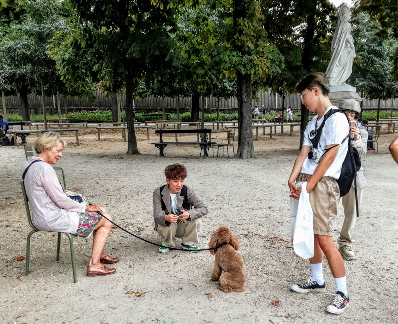 Jardin du Luxembourg, scene taken on the spot (Photo FC)