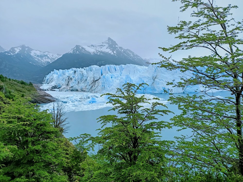 One of the great unique features of Perito Moreno is that it is surrounded by both the
Andean mountains and Patagonian forests. Photo © François Collombet